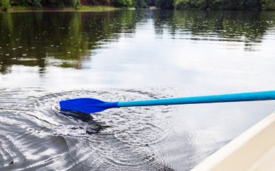 MI Doesn’t Just Mean OARS: MINT training Motivational Interviewing