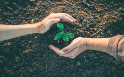 Roots of Change: Creating Change Plans with Motivational Interviewing