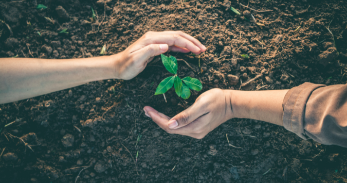 Roots of Change MI is Interested in Root Motivation